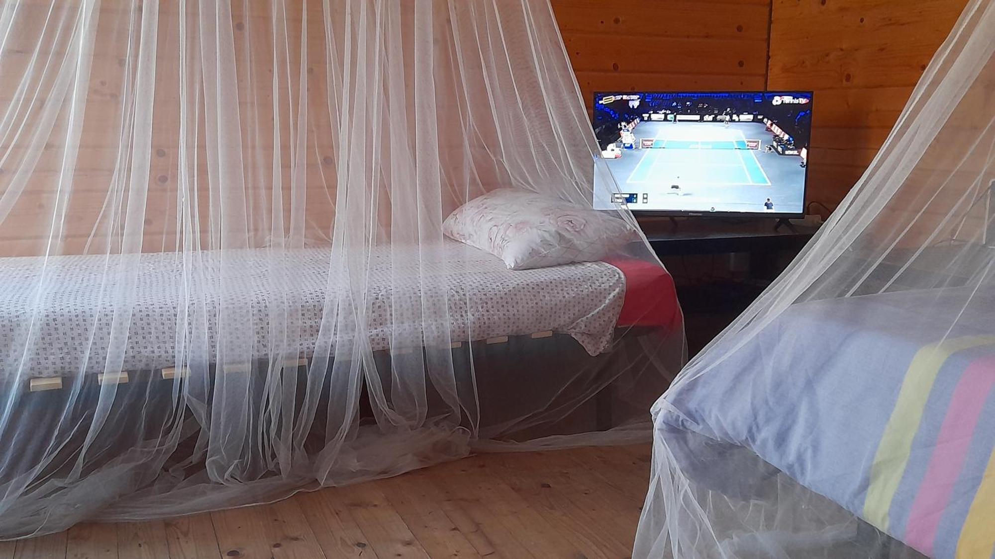 Hostel Coruna Backpackers *